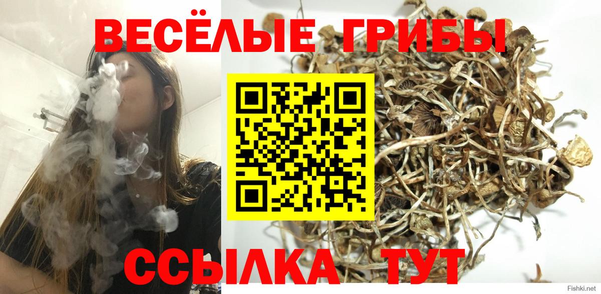 Галлюциногенные грибы прущие грибы Усолье-Сибирское